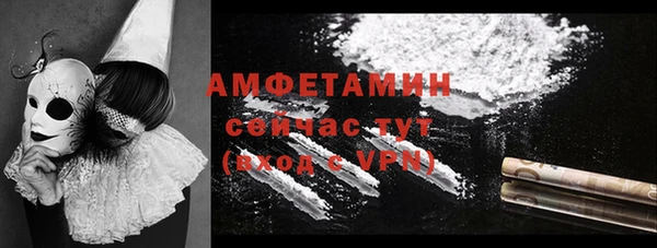 ПСИЛОЦИБИНОВЫЕ ГРИБЫ Кадников